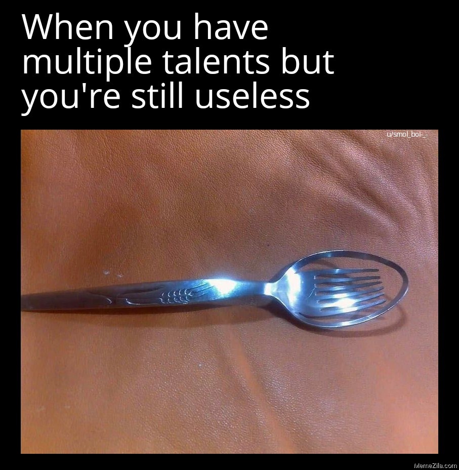 When you have multiple talents but you're still useless meme