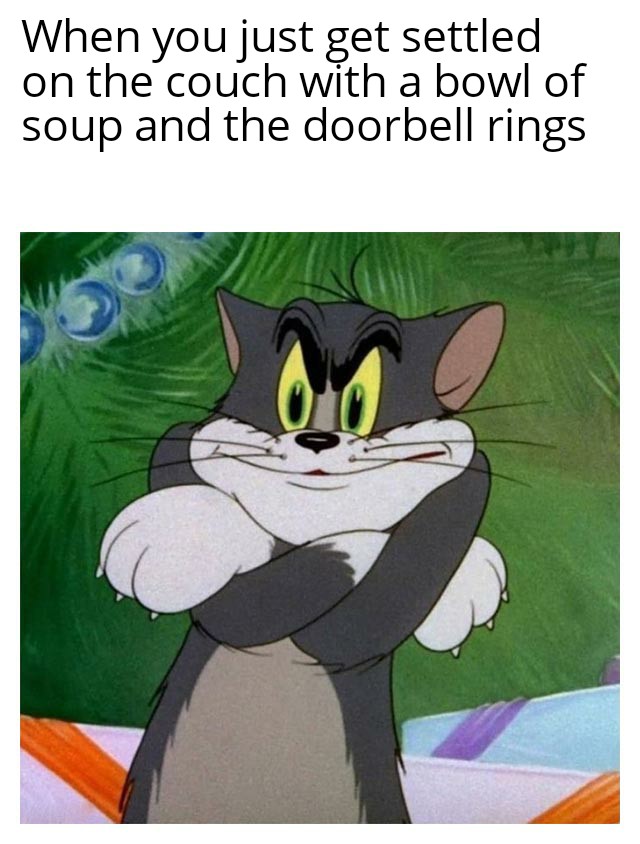 When you just get settled on the couch with a bowl of soup and the doorbell rings meme