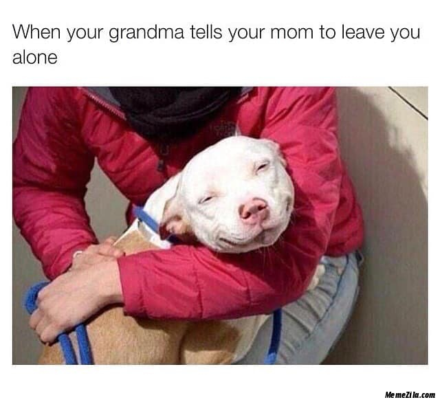 When your grandma tells your mom to leave you alone meme