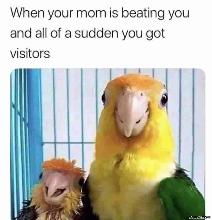 When your mom is beating you and all of sudden you got visitors meme