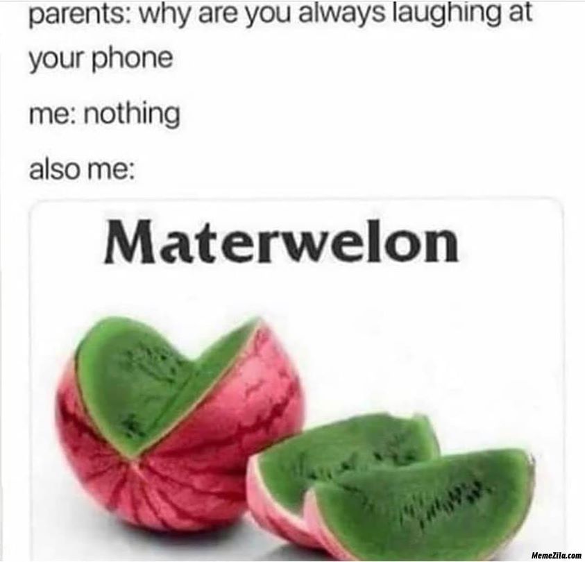Why are you always laughing at your phone Materwelon meme