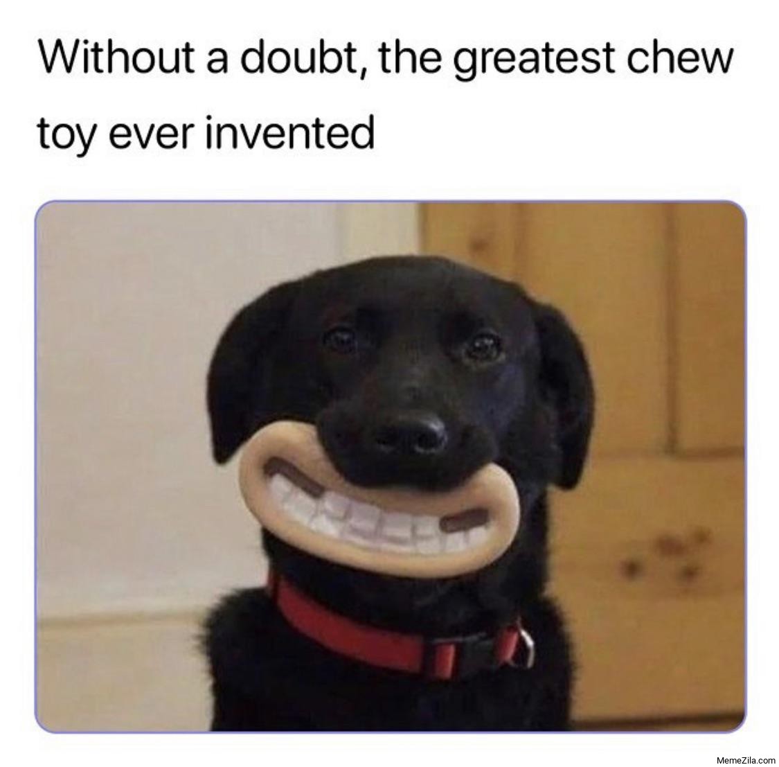 Without a doubt the greatest chew toy ever invented meme