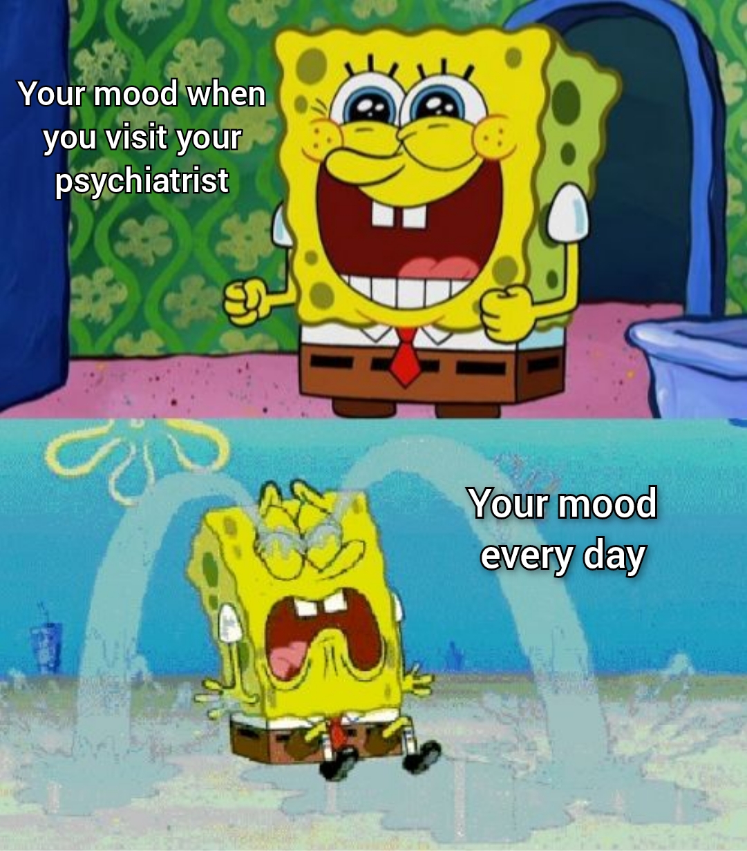 Your mood when you visit your psychiatrist Your Mood every day meme