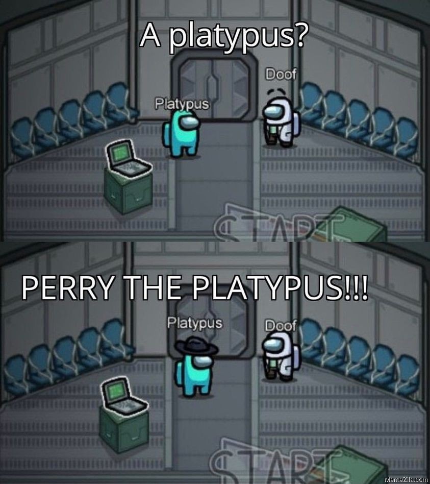 platypus meme platypus meme