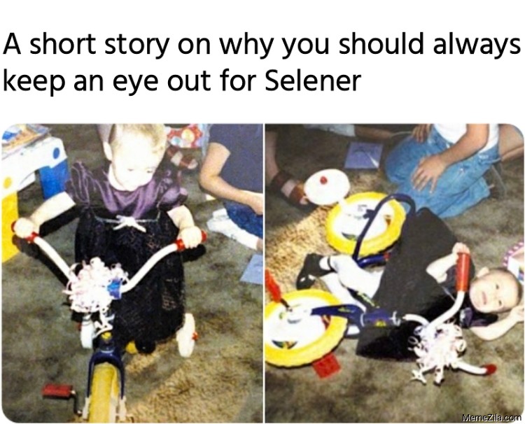 A short story on why you should always keep an eye out for Selener meme