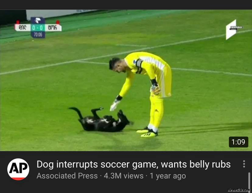 Dog interrupts saucer game Wants belly rub meme