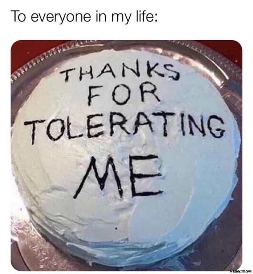 Everything in my life Thanks for tolerating me meme