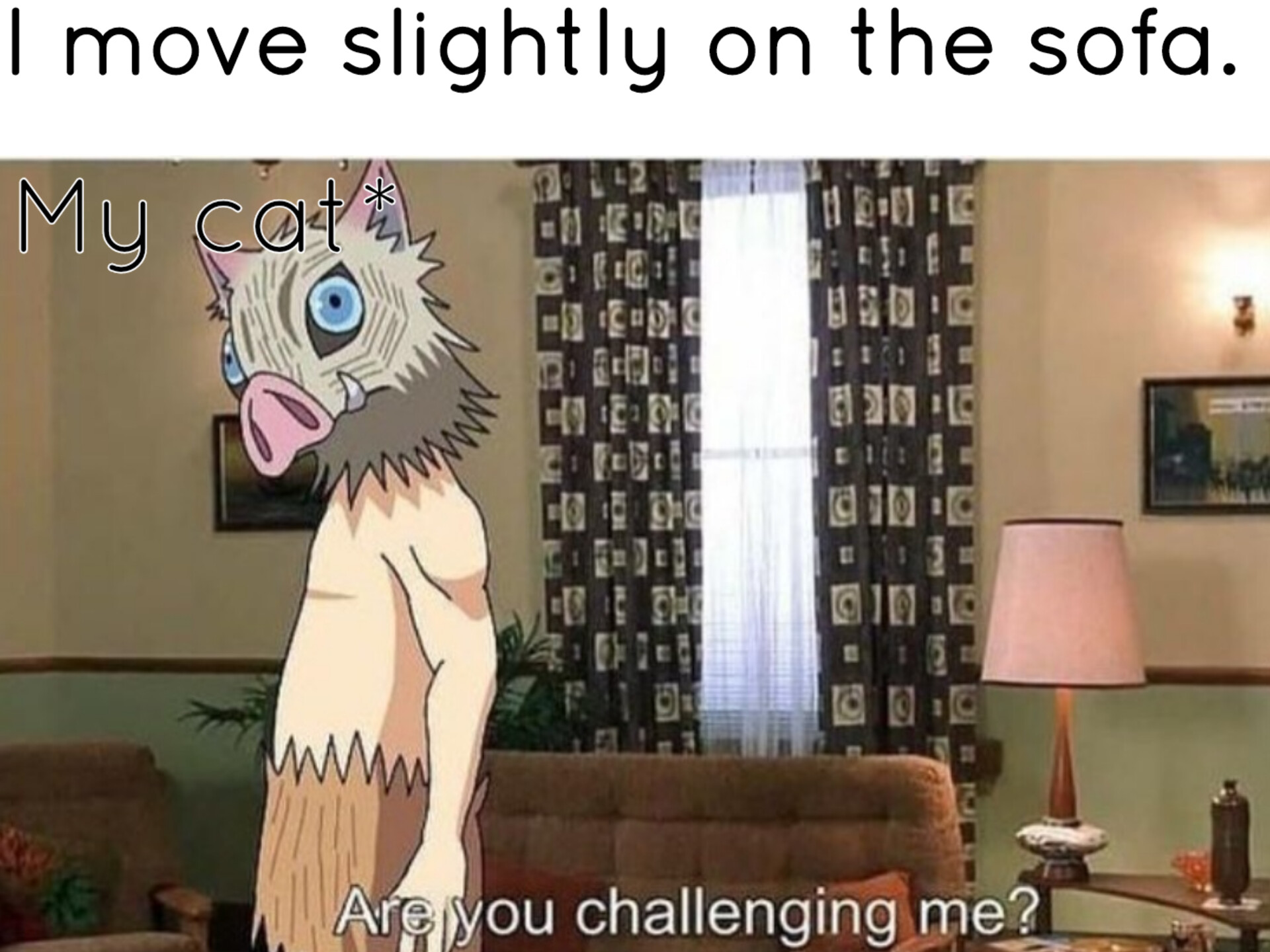 I move slightly on the sofa. My cat: meme