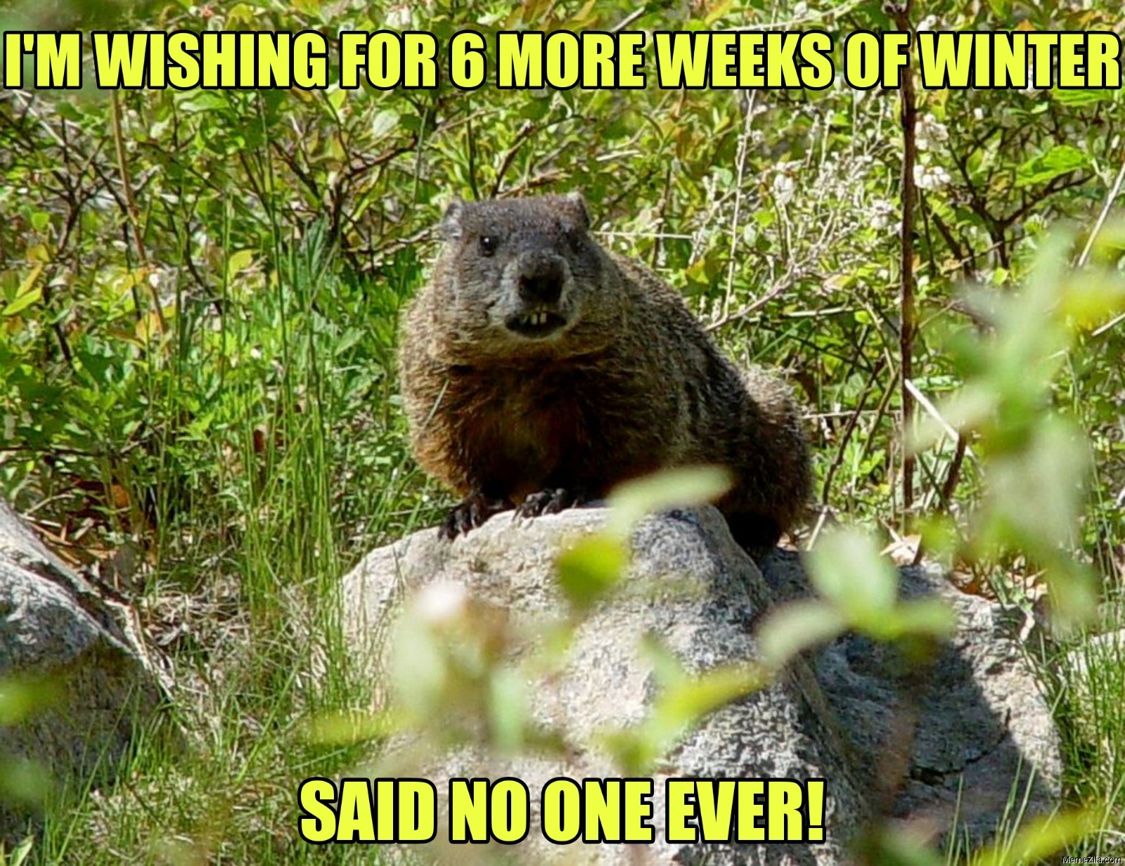 I�m wishing for 6 more weeks of winter... said no one ever! meme