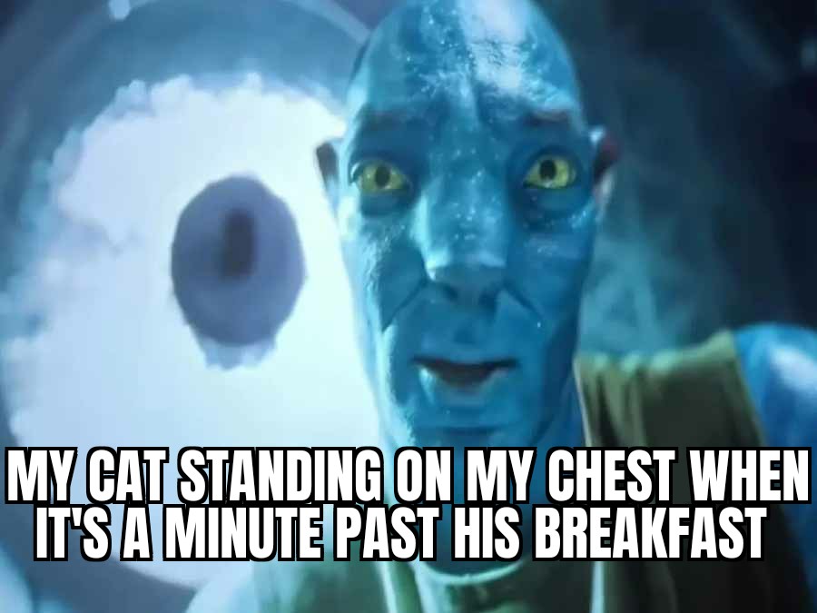 My cat standing on my chest when it's a minute past his breakfast meme