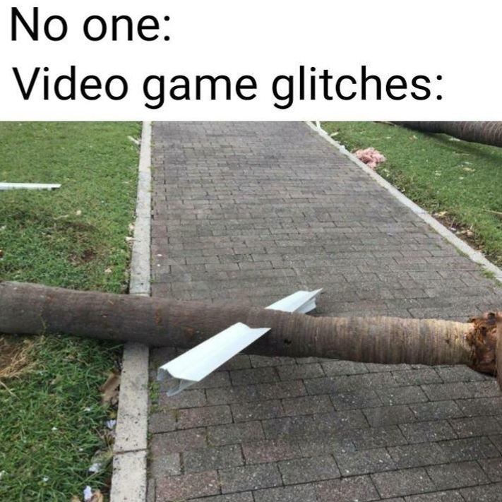 No one: Video game glitches: meme