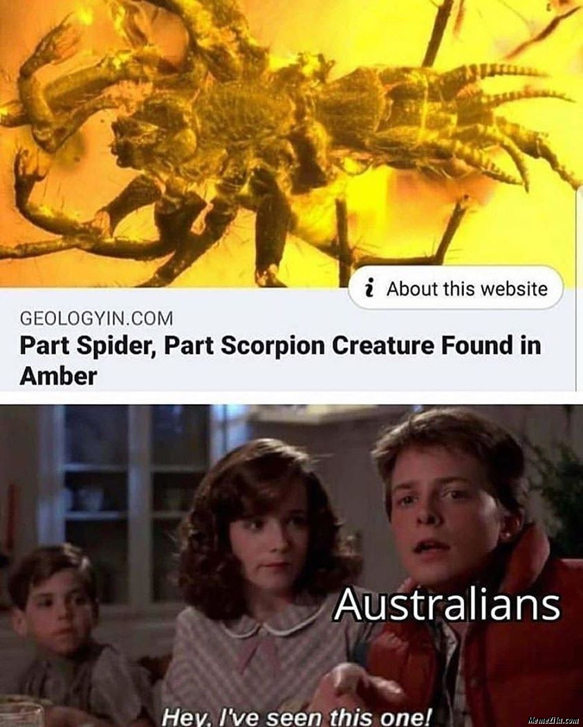 Part spider part scorpion creature found in amber Australians I have seen this one meme