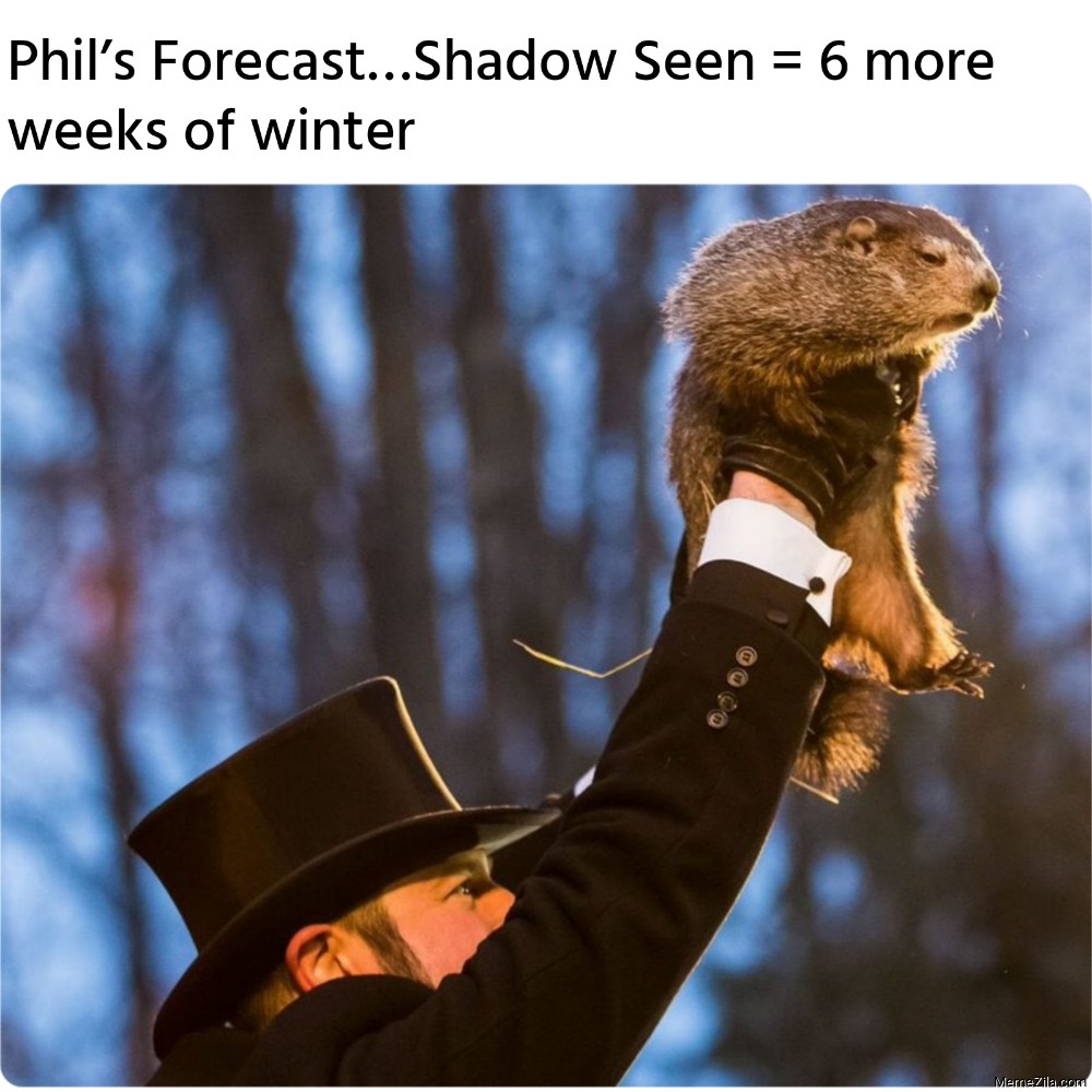 Phil�s Forecast� Shadow Seen = 6 more weeks of winter meme