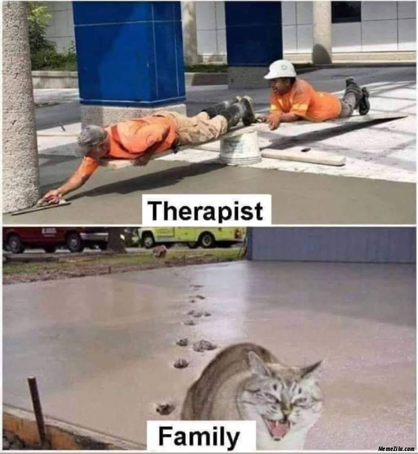 Therapist vs family meme