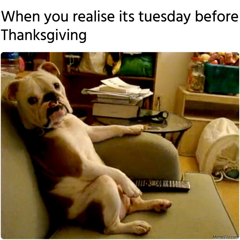 When you realise its tuesday before thanksgiving meme
