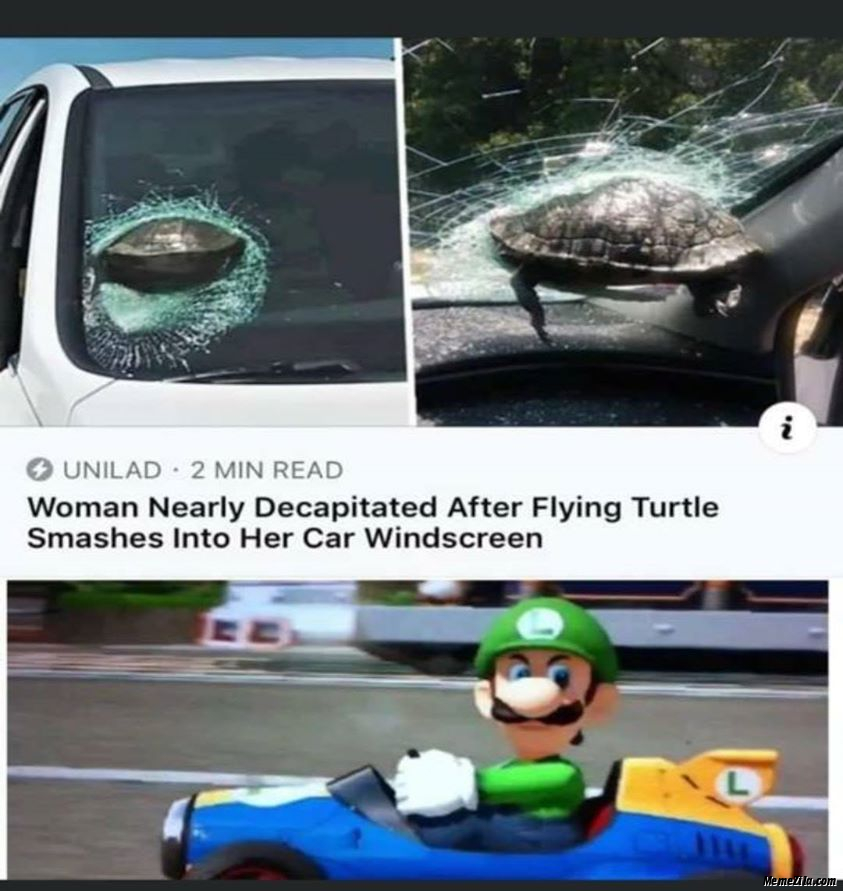 Woman nearly decapitated after flying turtle smashes into the car windscreen meme
