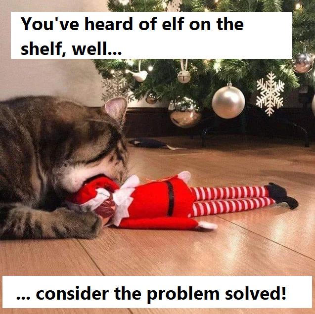 You've heard of Elf on the shelf, well, consider the problem solved! meme