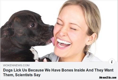 dogs lick us because we have bones inside And they want them scientists say meme